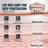 LED Face Therapy Wand