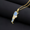 Stainless Steel Argentina Map Necklace