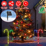 Solar Candy Cane Pathway Light