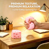 Moldable Cheese Stress Relief Toy