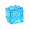 Jumbo Transparent Cheese Stress Relief Squishy